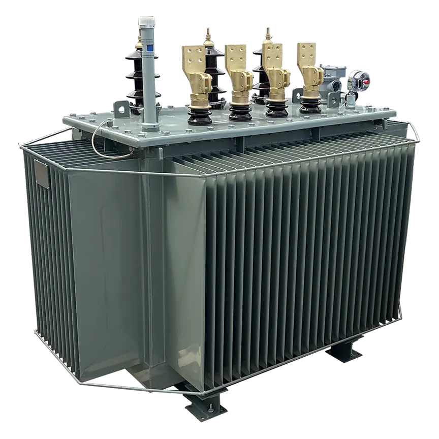 Oil-immersed transformers